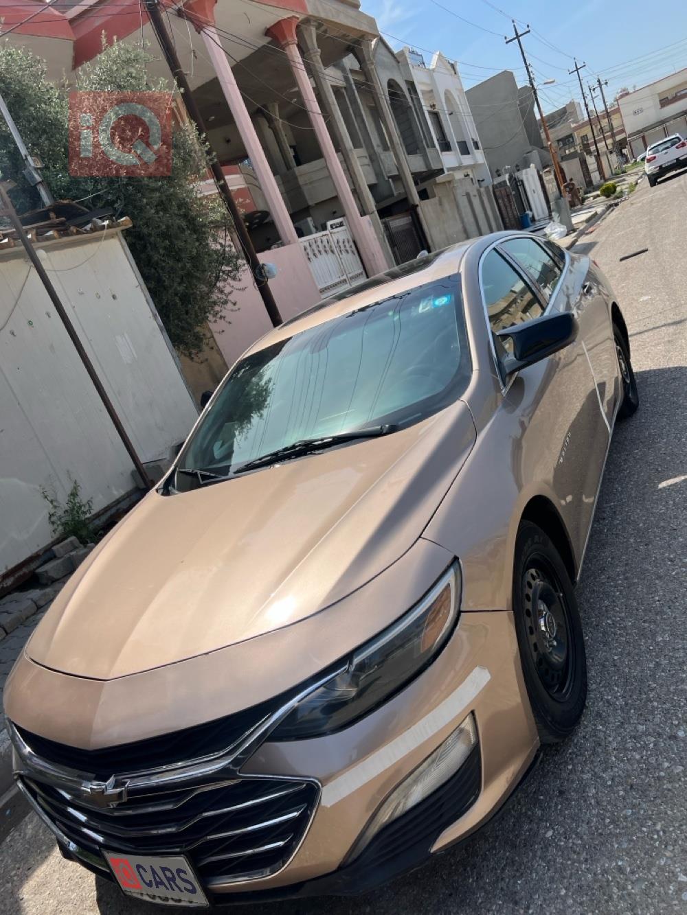 شيفروليه ماليبو